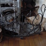Blacksmith Forged Metal Wrought Iron Balistrade Cape Town Western Cape