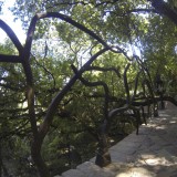 Blacksmith Forged Metal Wrought Iron Balistrade Cape Town Western Cape